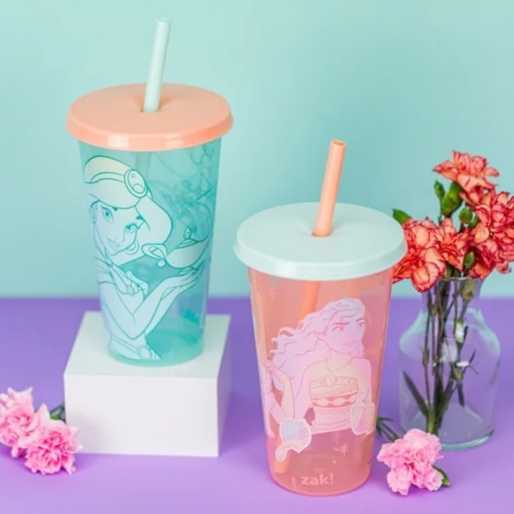 Disney Princess Jasmine Lidded Tumblers 2-Pack